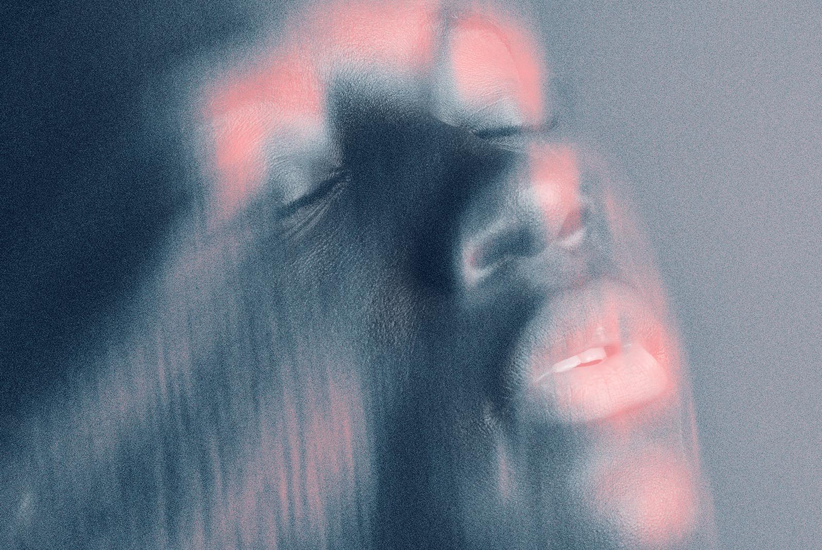 Blurred face with pink and blue gradient effect. Suitable for graphic design projects and Photoshop effects. Ideal for art and tech mockups.