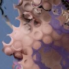 Digital abstract artwork showcasing textured circular patterns overlaying a human face. Ideal for graphic designers in billboards, graphics, and tech mockups.