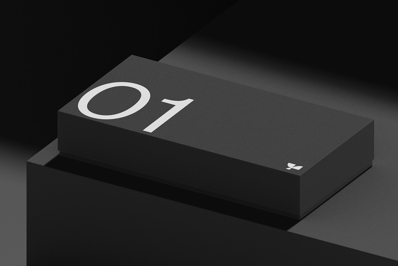 Elegant packaging mockup displaying a sleek black box with the number 01 in white, ideal for graphic designers seeking professional presentation templates.